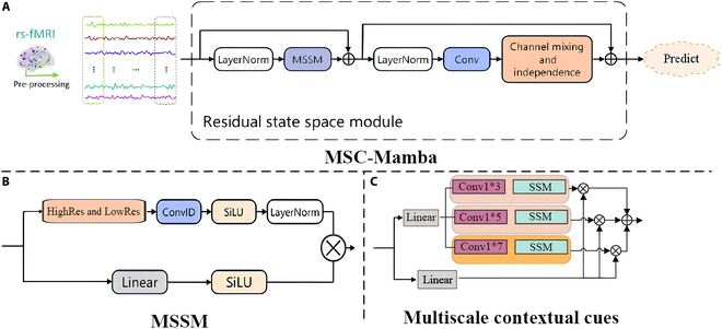 Multiscale Contextual Mamba: Advancing Psychiatric Disorder Detection across Multisite Functional Magnetic Resonance Imaging Datasets via State Space Modeling.