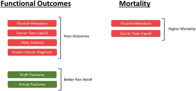 Which Factors Affect Functional Outcomes and Survival in Metastatic Humeral Fractures Treated With Nails?