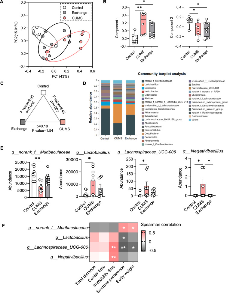 Chronic stress in mice: how gut bacteria influence gene activity in key brain neurons.
