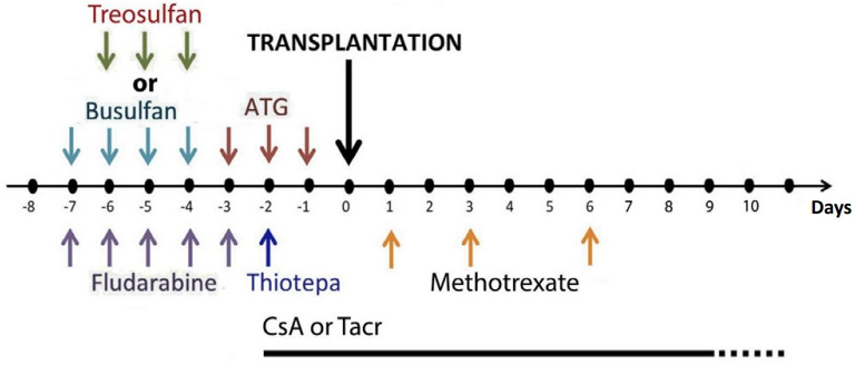 Hematopoietic stem cell transplantation in pediatric patients with type VI mucopolysaccharidosis.