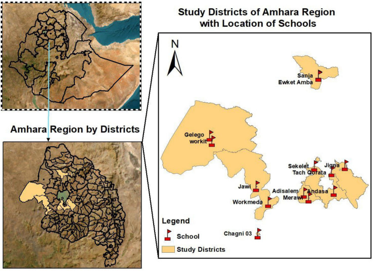 Comparative performance of Kato-Katz, POC-CCA and real-time PCR in detecting Schistosoma mansoni infection at different endemicity settings in northwest Ethiopia: a cross-sectional study.