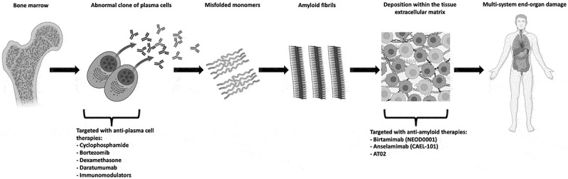 Recent developments in systemic light-chain amyloidosis prognosis and treatment.