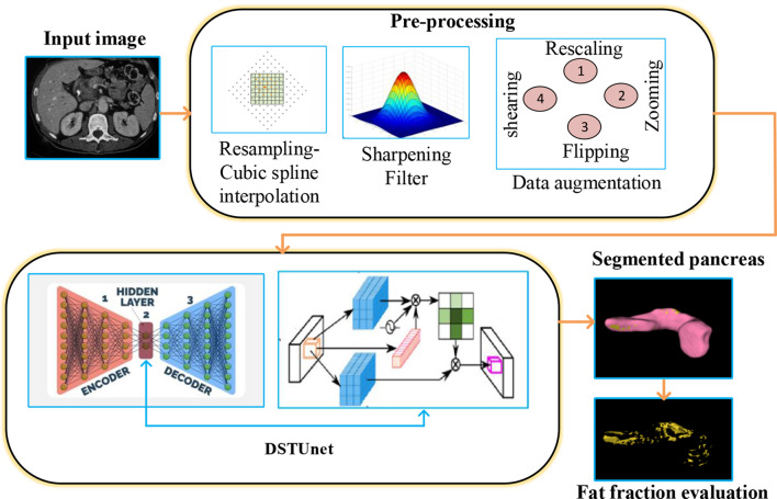 A dual self-attentive transformer U-Net model for precise pancreatic segmentation and fat fraction estimation.