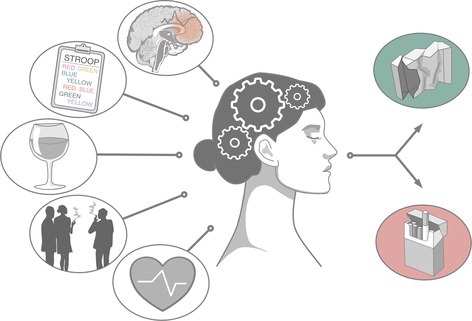 Machine Learning Classification of Smoking Behaviours-From Social Environment to the Prefrontal Cortex.
