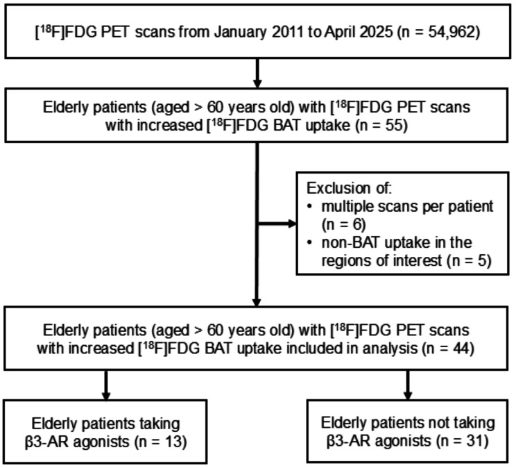 Effect of β3-adrenergic receptor agonists on [<sup>18</sup>F] fluorodeoxyglucose uptake in brown adipose tissues in positron emission tomography images of elderly patients.