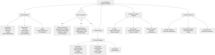 A Review: Causes, Consequences, and Management Strategies of Facial Overfilling.