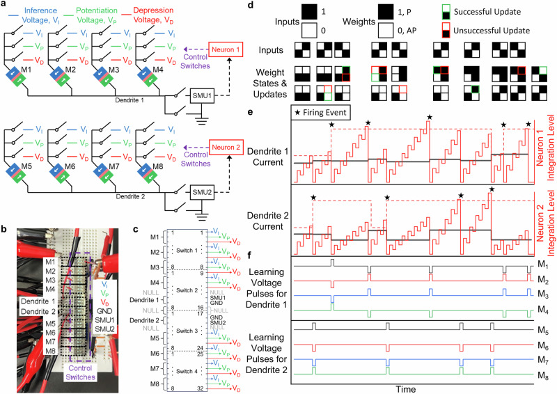 Neuromorphic Hebbian learning with magnetic tunnel junction synapses.