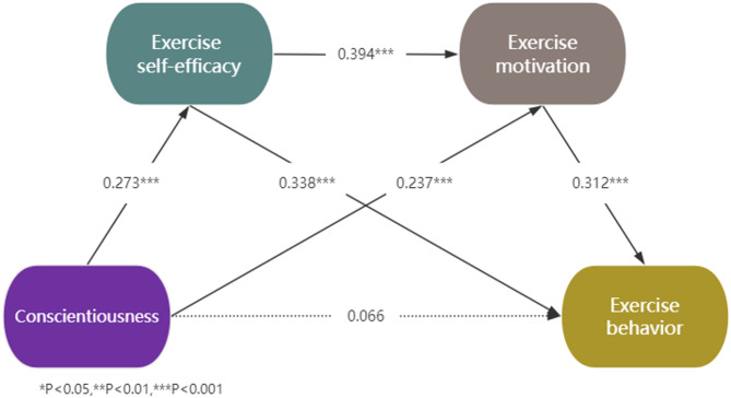 The influence of personality traits on college students' exercise behavior: a chain mediation model of exercise self-efficacy and exercise motivation.