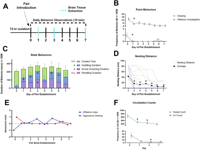 Sex differences in structural and receptor mRNA expression in the ventral anterior cingulate cortex and a potential role of perineuronal nets in monogamous pair bond establishment (Peromyscus californicus).