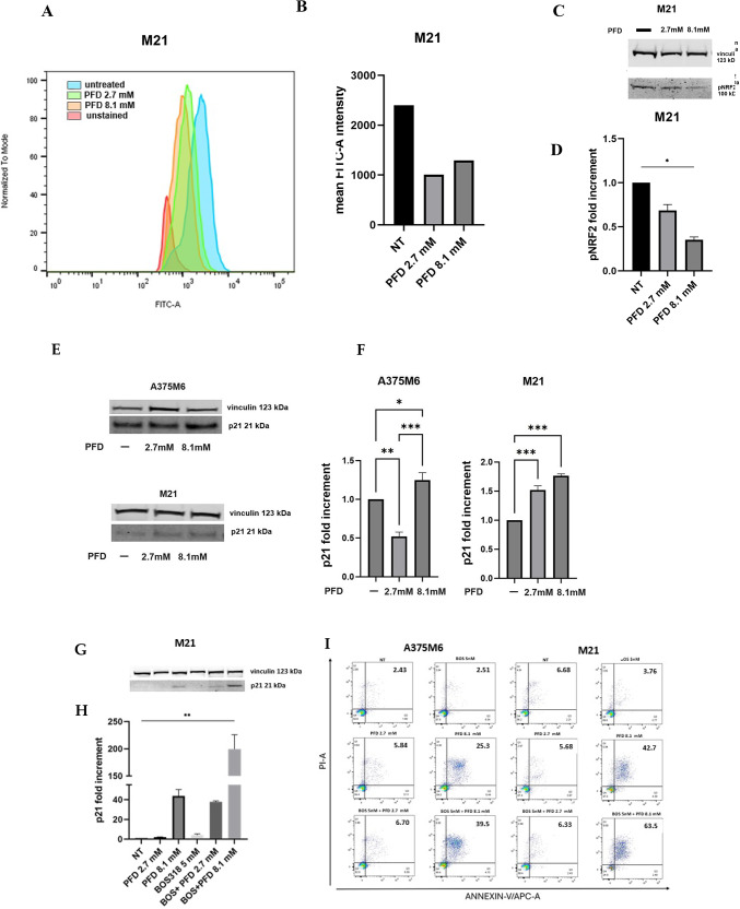 The unexplored mechanism of antitumoral effect of pirfenidone in melanoma cells.