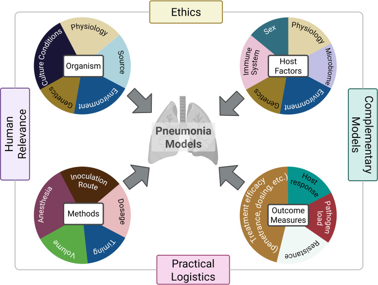 Best Practices in the Development and Use of Experimental Models of Bacterial Pneumonia: An Official American Thoracic Society Workshop Report.