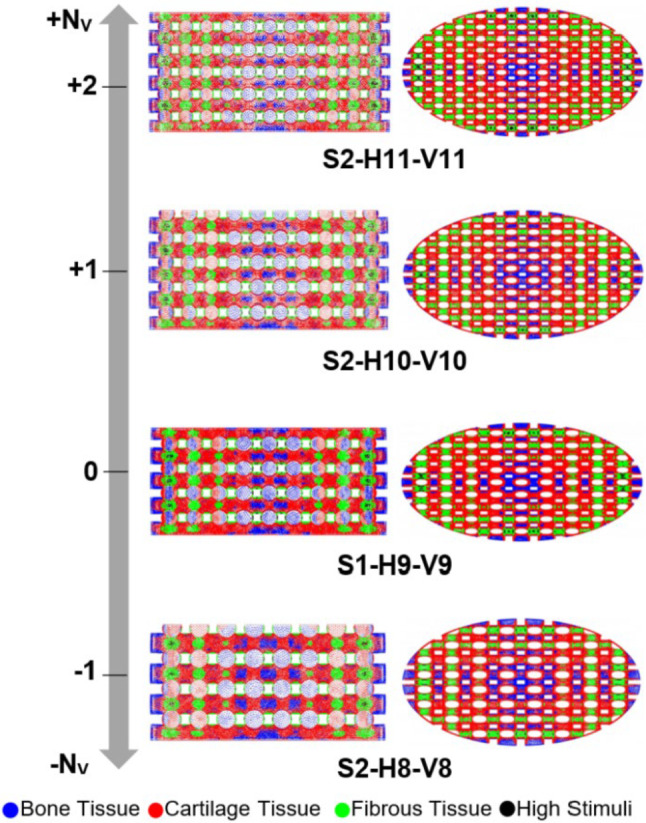 Numerical study of the structural design influence on cartilage cell differentiation in mechanically stimulated hydrogel scaffolds using an FSI-based model