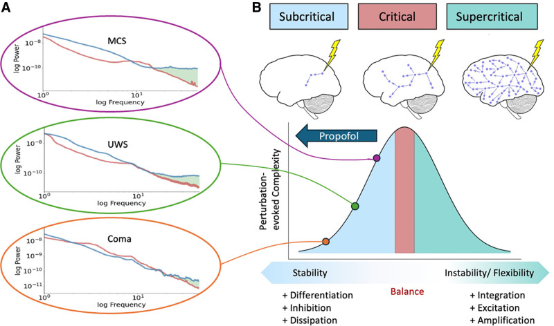 Harnessing the Second Power of Anesthesia for Disorders of Consciousness: 2025 T. H. Seldon Memorial Lecture.