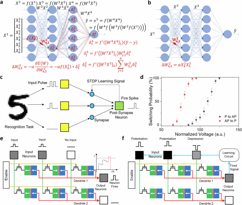 Neuromorphic Hebbian learning with magnetic tunnel junction synapses.