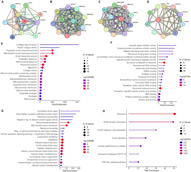 Integrated analysis of gene networks and cellular functions identifies novel heart failure biomarkers.