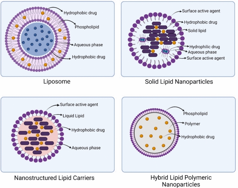Lipid nanoparticles: a promising tool for nucleic acid delivery in cancer immunotherapy.