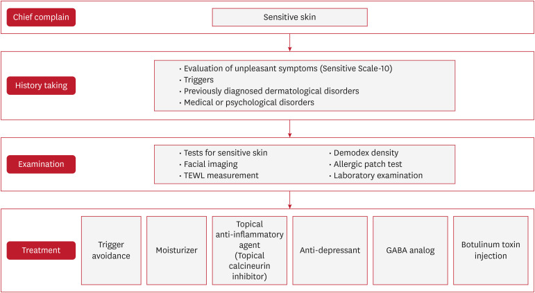 Comprehensive Approaches to Diagnosis and Treatment of Sensitive Skin.