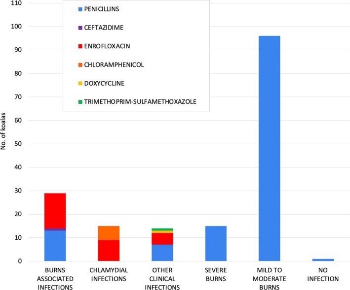 Systemic antibiotic use in fire-affected koalas (Phascolarctos cinereus) admitted to two wildlife treatment facilities during the 2019-2020 wildfires.