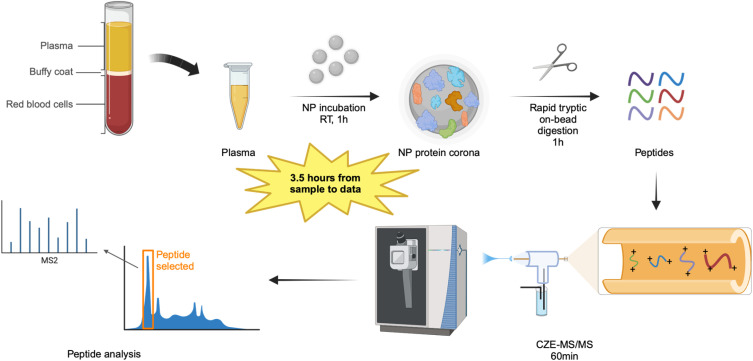 High-throughput plasma/serum proteomics by coupling nanoparticle protein corona-based sample preparation and capillary zone electrophoresis-tandem mass spectrometry.