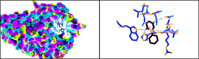 The unexplored mechanism of antitumoral effect of pirfenidone in melanoma cells.