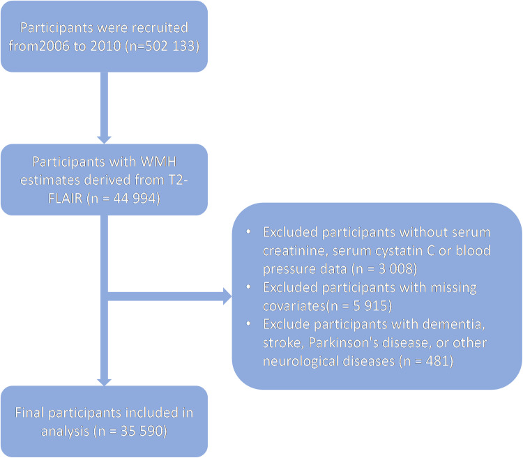 Association of the difference between cystatin C- and creatinine-based estimated glomerular filtration rate with cerebral small vessel disease: A large prospective cohort study.