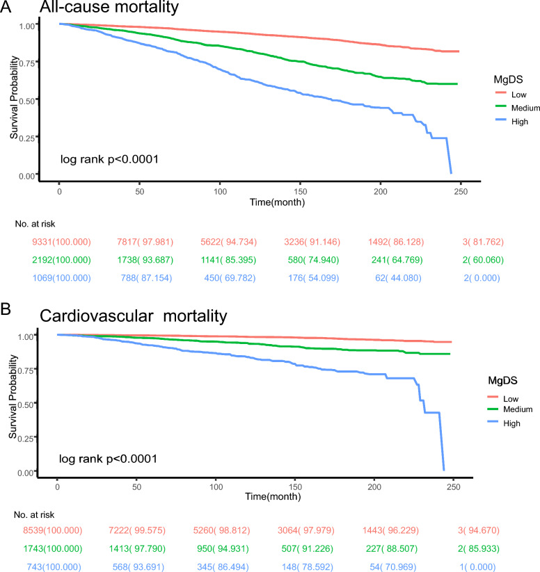 Association of magnesium depletion score with all-cause and cardiovascular mortality in hyperlipidemia adults: a large nationwide population-based study.