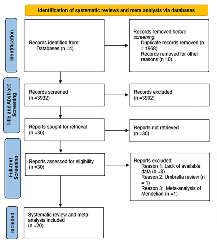 Beverage consumption on bone and joint disorders: an umbrella review.