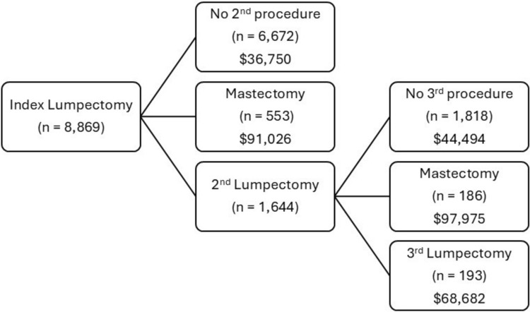 Insurer and patient costs for repeat breast surgery after initial lumpectomy for breast cancer.