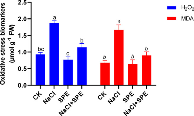 Potential effect of non-nitrogen fixing cyanobacteria Spirulina platensis on growth promotion of wheat (Triticum aestivum L.) under salt stress.