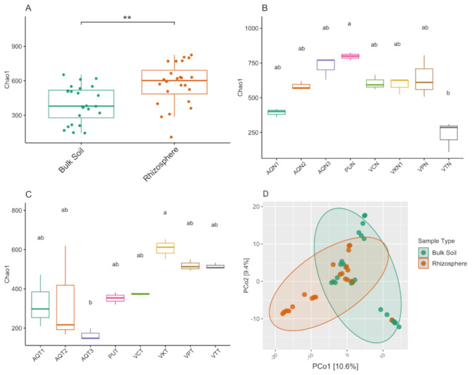 Characterization of bacterial diversity associated with a Salar de Atacama native plant Nitrophila atacamensis.