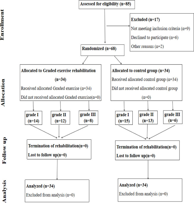 A randomized controlled trial of graded exercise rehabilitation enhances diaphragm function and exercise tolerance in patients with AECOPD.