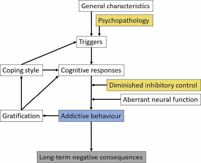 Problematic online gaming mediates the association between attention-deficit/hyperactivity and subsequent mental health issues in adolescents.