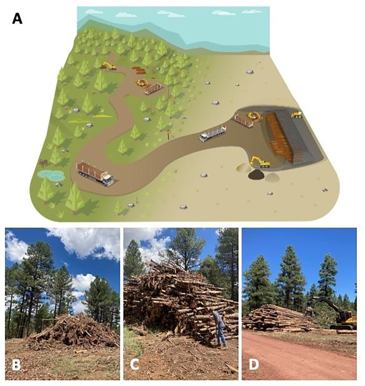 Life cycle emissions associated with vault storage of wood cleared for fire management in the Western United States
