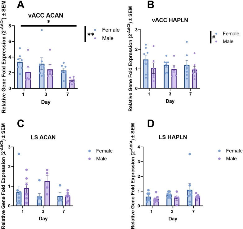 Sex differences in structural and receptor mRNA expression in the ventral anterior cingulate cortex and a potential role of perineuronal nets in monogamous pair bond establishment (Peromyscus californicus).