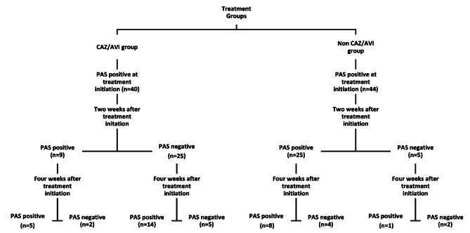 Impact of ceftazidime avibactam on colonization by carbapenem resistant Enterobacterales during treatment of related infections.