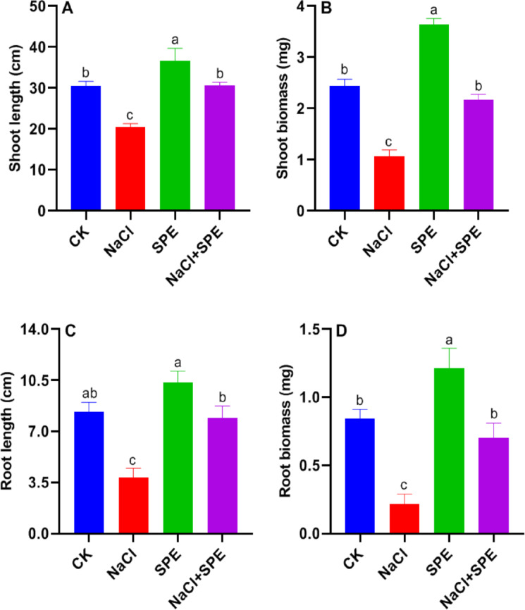 Potential effect of non-nitrogen fixing cyanobacteria Spirulina platensis on growth promotion of wheat (Triticum aestivum L.) under salt stress.