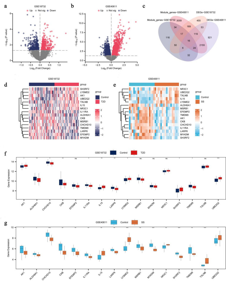 Identification of key interactive genes and their potential biological functions in type 2 diabetes and Sjögren's syndrome.