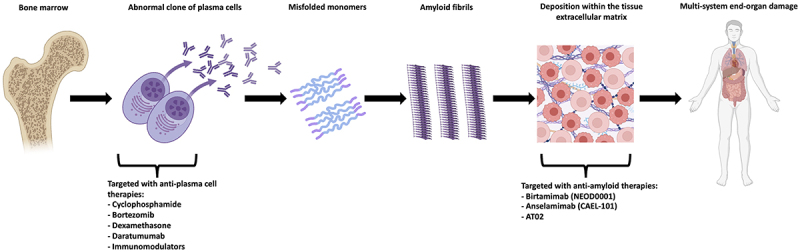 Recent developments in systemic light-chain amyloidosis prognosis and treatment.