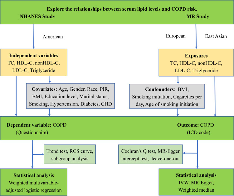 Observational and Genetic Evidence Reveals the Effect of Serum Lipid Levels on COPD Risk.