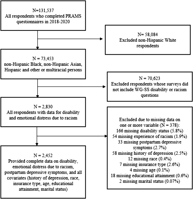 Intersections of racism, disability, and postpartum depression in minoritized racial and ethnic populations