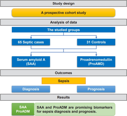 Serum amyloid A and proadrenomedullin as early markers in critically ill children with sepsis.