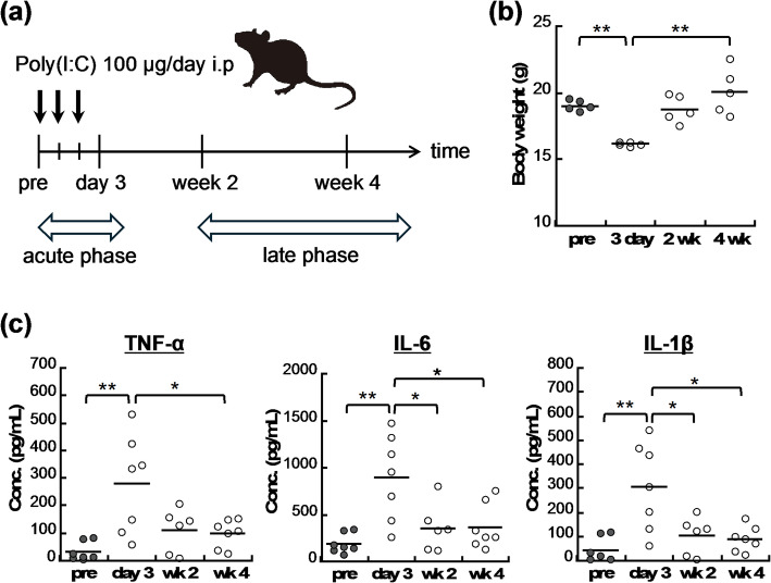 Non-invasive visualisation of long-lasting brain metabolic alterations in murine pseudo-infection model using parahydrogen-polarised [1-13C] pyruvate MRI