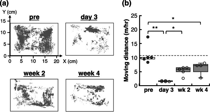 Non-invasive visualisation of long-lasting brain metabolic alterations in murine pseudo-infection model using parahydrogen-polarised [1-13C] pyruvate MRI