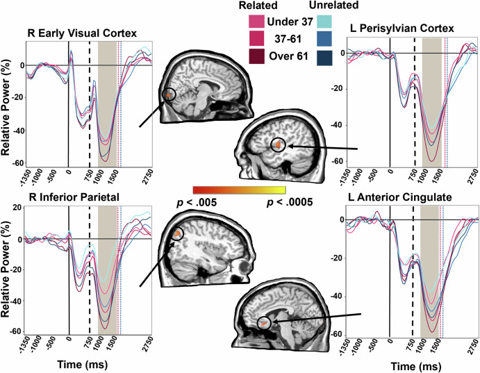 Age-related alterations in alpha and beta oscillations support preservation of semantic processing in healthy aging.