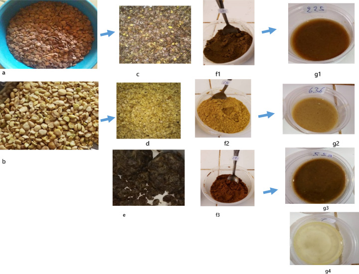 Sensory properties of fermented Zamné (Senegalia macrostachya seeds) and their influence on the broth quality and sensory profile.