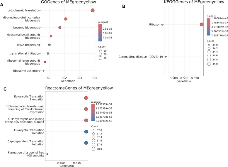 Blood-based transcriptomic biomarkers for response to [<sup>177</sup>Lu]Lu-DOTA-TATE therapy in neuroendocrine tumors.