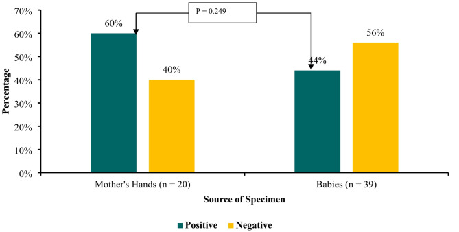 Prevalence and antibiotic resistance profiles of ESKAPE pathogens in the neonatal intensive care unit of the women and newborn hospital in Lusaka, Zambia.