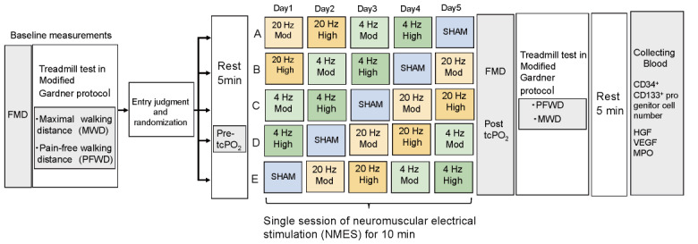 Preconditioning Effects of Neuromuscular Electrical Stimulation in Patients with Symptomatic Peripheral Arterial Disease.