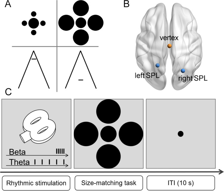Rhythmic beta-frequency TMS over human right parietal cortex strengthens visual size illusions.