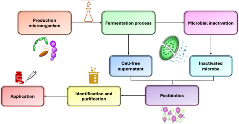 Postbiotics: an insightful review of the latest category in functional biotics.